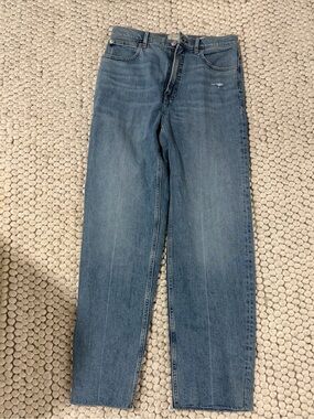 Everlane- The Way High Jean